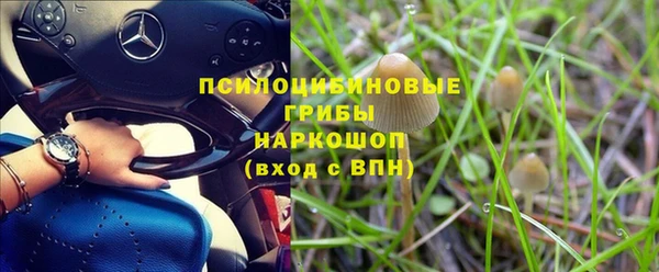 прущие крисы Алзамай
